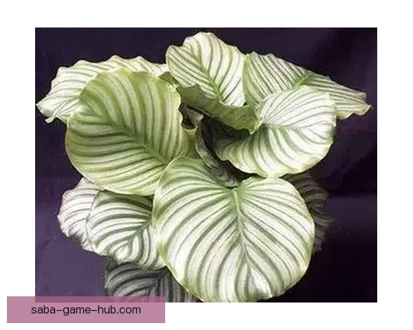 世界杯竞猜热门平台推荐与最佳策略解析全方位指南